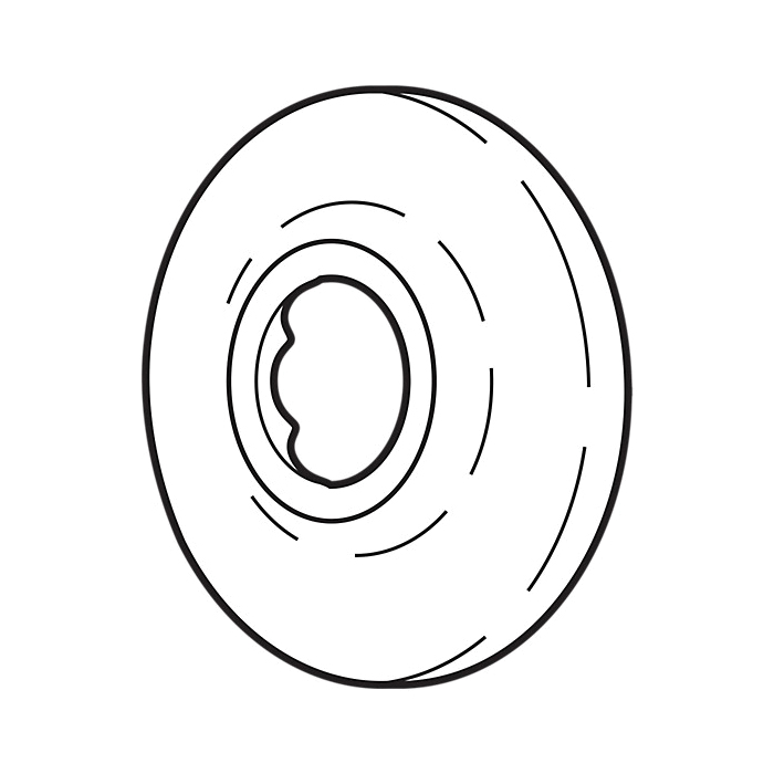 Shower Flanges