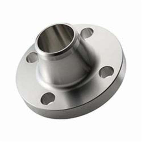 A45110L-160 10" Raised Face Weld Neck Flange, Forged 304/304L Stainless Steel, 150 lb, SCH 10 Bore, Import