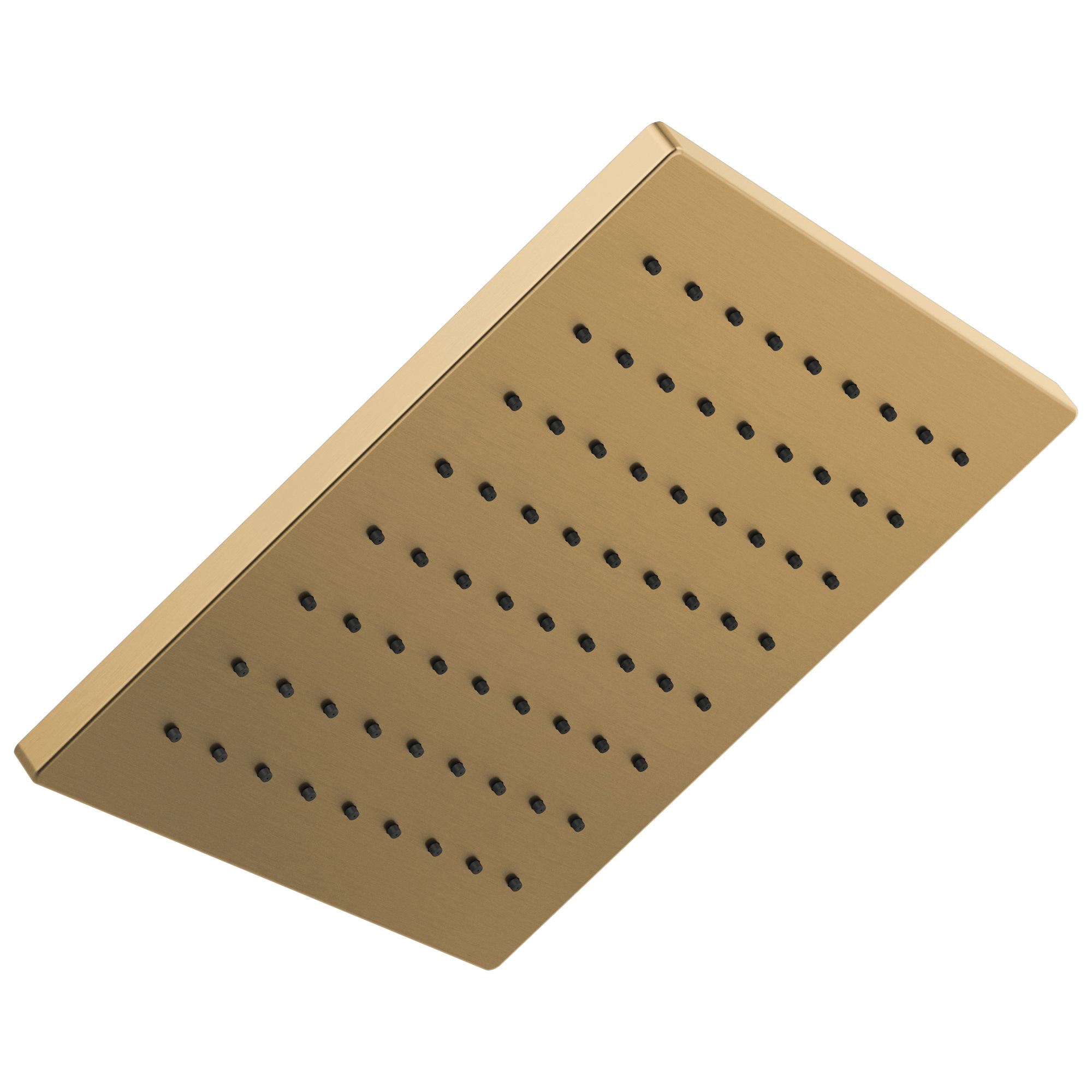 Brizo® 81399GL Raincan Shower Head, 1.75 gpm Flow Rate, 1 Spray, 2.38