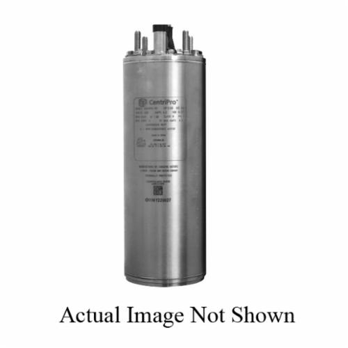 CentriPro® M05422 2-Wire Submersible Motor, 1/2 hp, 230 VAC, 60 Hz ...