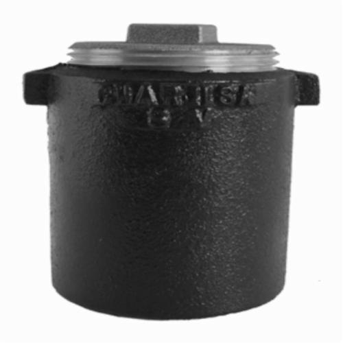 Charlotte SV 00228S 1000 Cleanout Ferrule With Brass Plug, 4x3 in