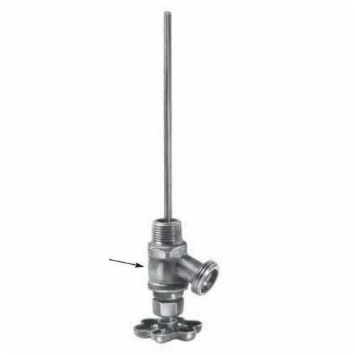 Bell & Gossett DrainOTank® DT2 Air Charger, 1/2 in, MNPT, 125 psi