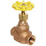 Globe Valve