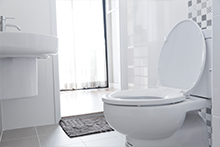 Toilets, Urinals & Parts