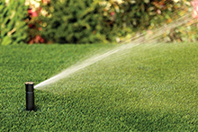 Watering, Irrigation & Drainage