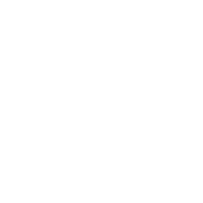 Meet the team