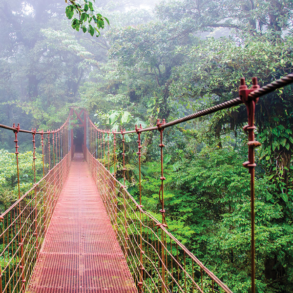 Monteverde National Park and Cloud Forest Reserve