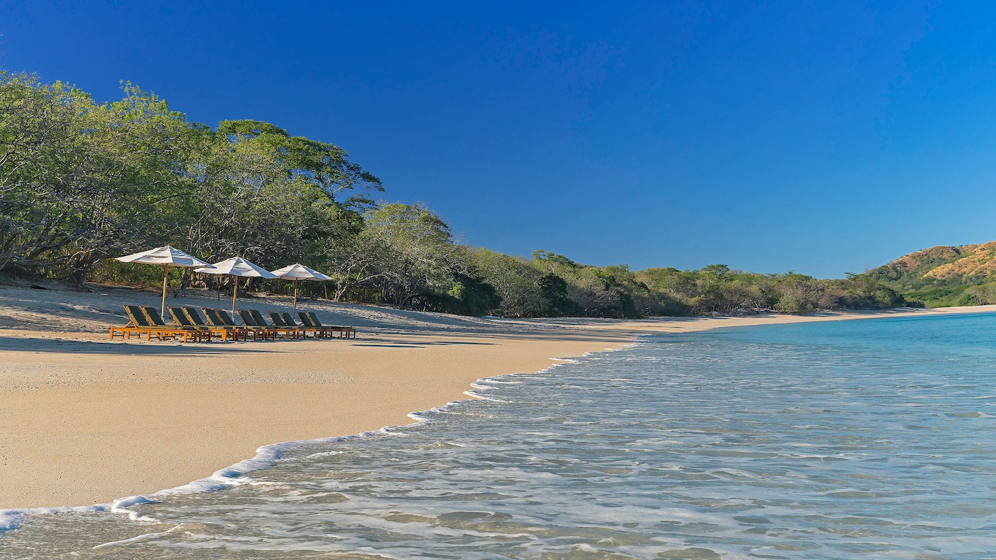 Westin Beach Chairs